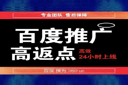 竞价推广公司经典案例：打造行业领先的广告投放效果