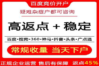 百度推广返点案例：实现广告投放效益最大化